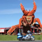 Peter Holloway, The Big Lobster, Kingston, SA